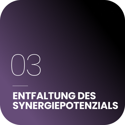 SYNERGIEPOTENZIAL