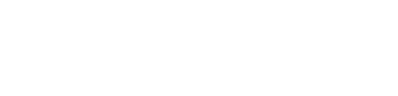 Verbaneum Logo transparent